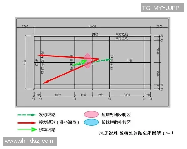南京羽毛球队在奥运会中的战术表现分析与点评