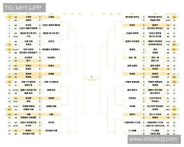 乒乓球个人能力排行榜揭晓北京乒乓球队荣获第三名佳绩