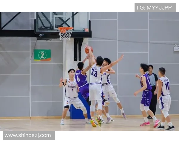 成都篮球队的意识探讨与发展现状分析