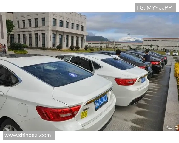 揭开足球明星卡片的神秘面纱一场精彩的拆箱体验与收藏之旅 揭开足球明星卡片的神秘面纱一场精彩的拆箱体验与收藏之旅