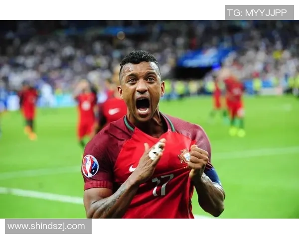 各国足球明星盘点与成就分析揭示足球世界的璀璨星光