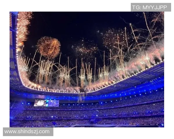 南京网球队的崛起与发展探秘：网球运动在城市中的力量与影响