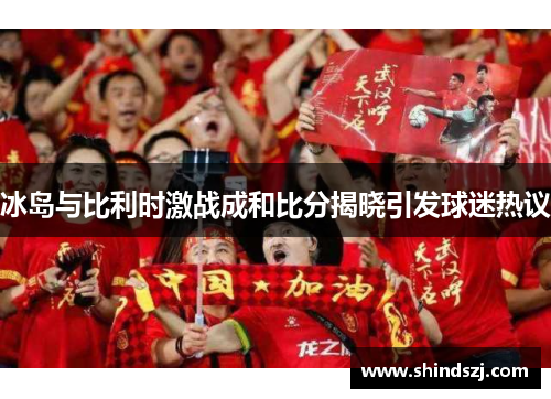 冰岛与比利时激战成和比分揭晓引发球迷热议